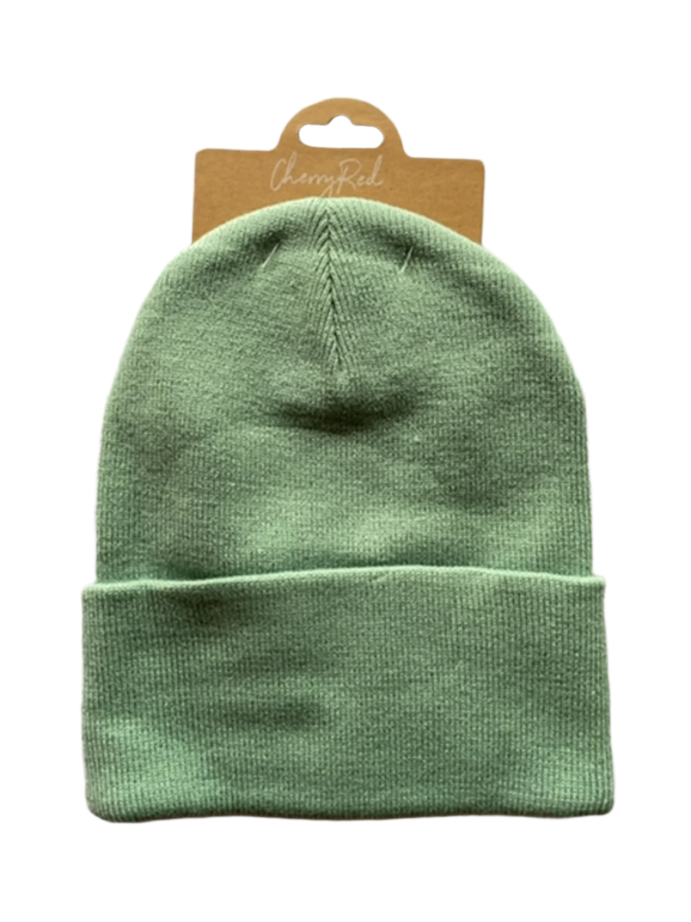 Mint Green Beanie