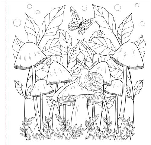Mushrooms Adult Coloring Book 