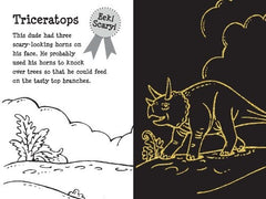 Scratch and Sketch Dino Dudes