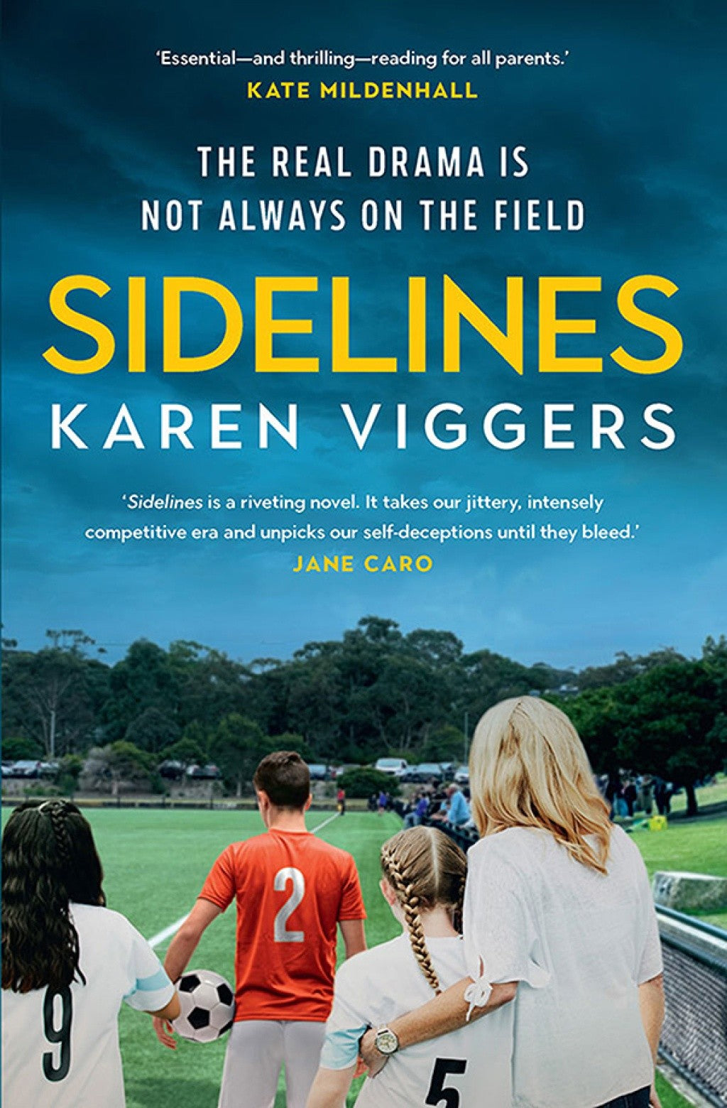 Karen Viggers Sidelines (Paperback)