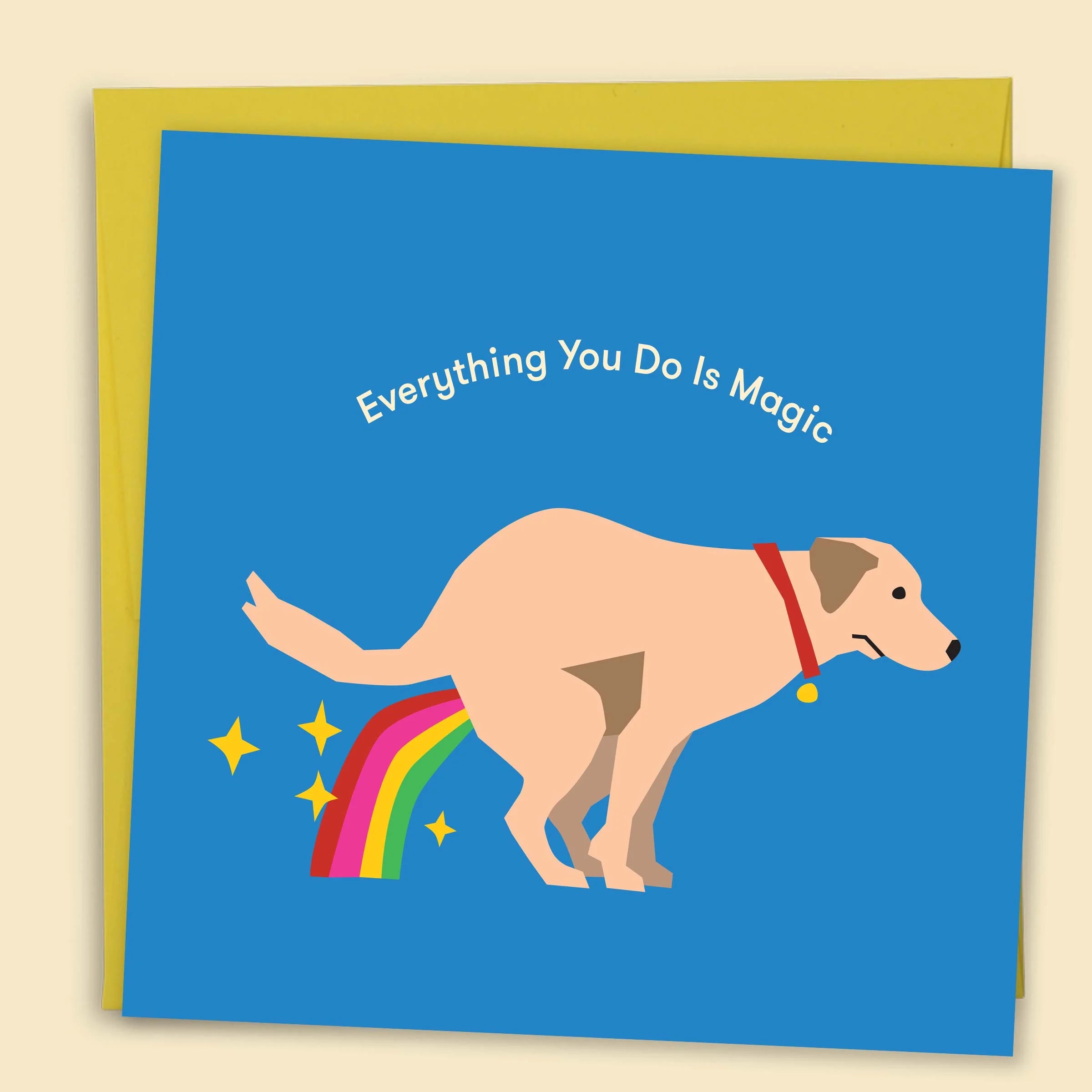 Everything You Do Is Magic